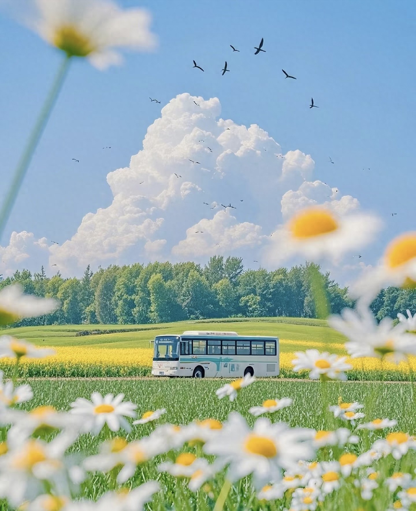 2026 年春节快递安排：哪些照常送？哪些要加钱？