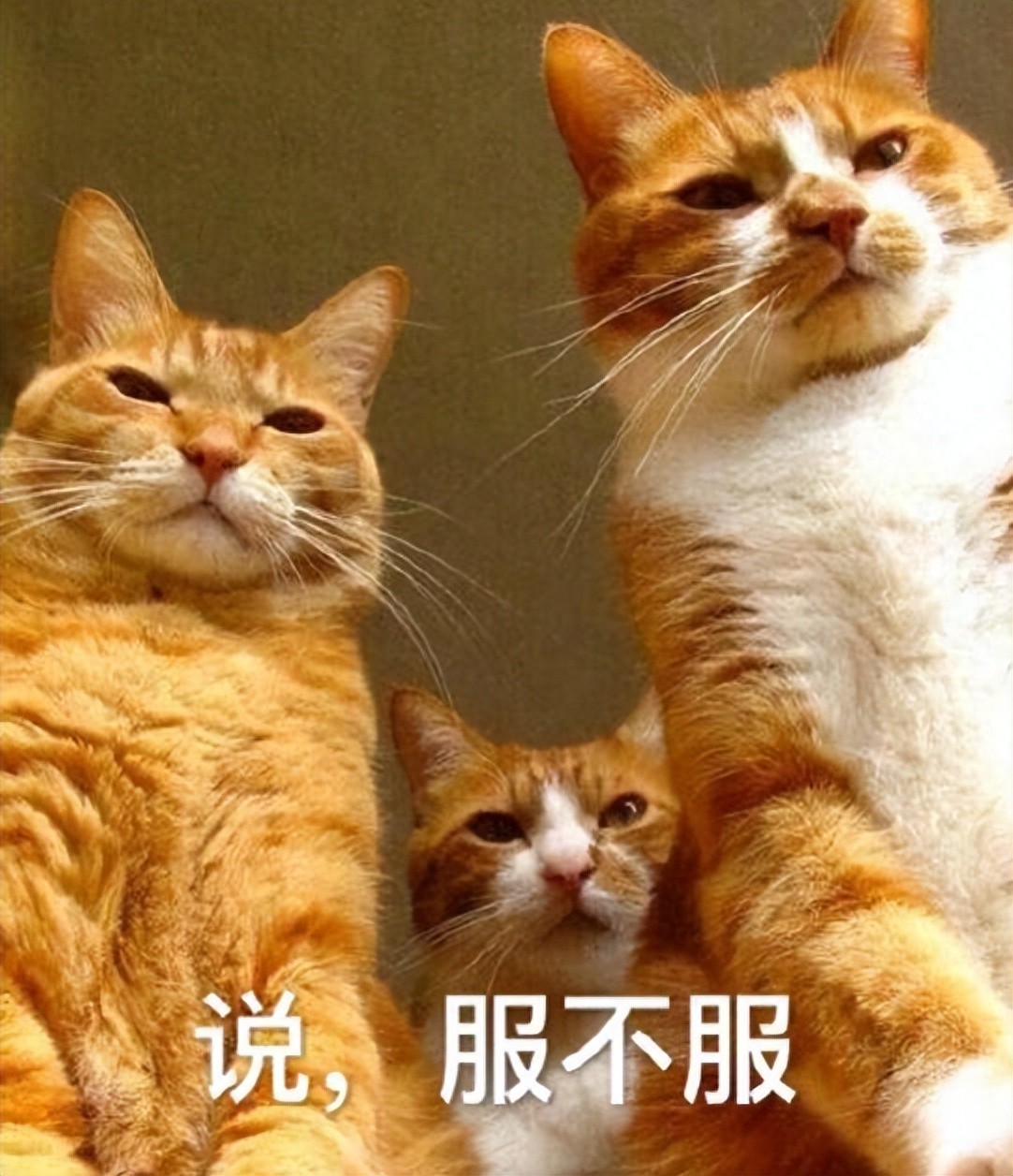 腾讯三角洲行动遭外挂盯上，最强DMA外挂成本近万