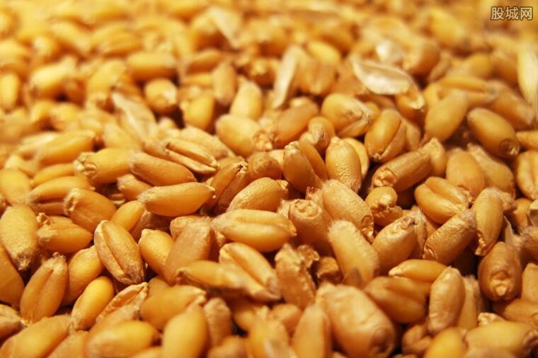 疫情加剧多国封边界禁粮出口，或引发粮食危机