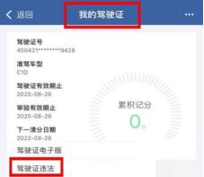 开车防违章全攻略及查询方法,违章高发星期关注啥?