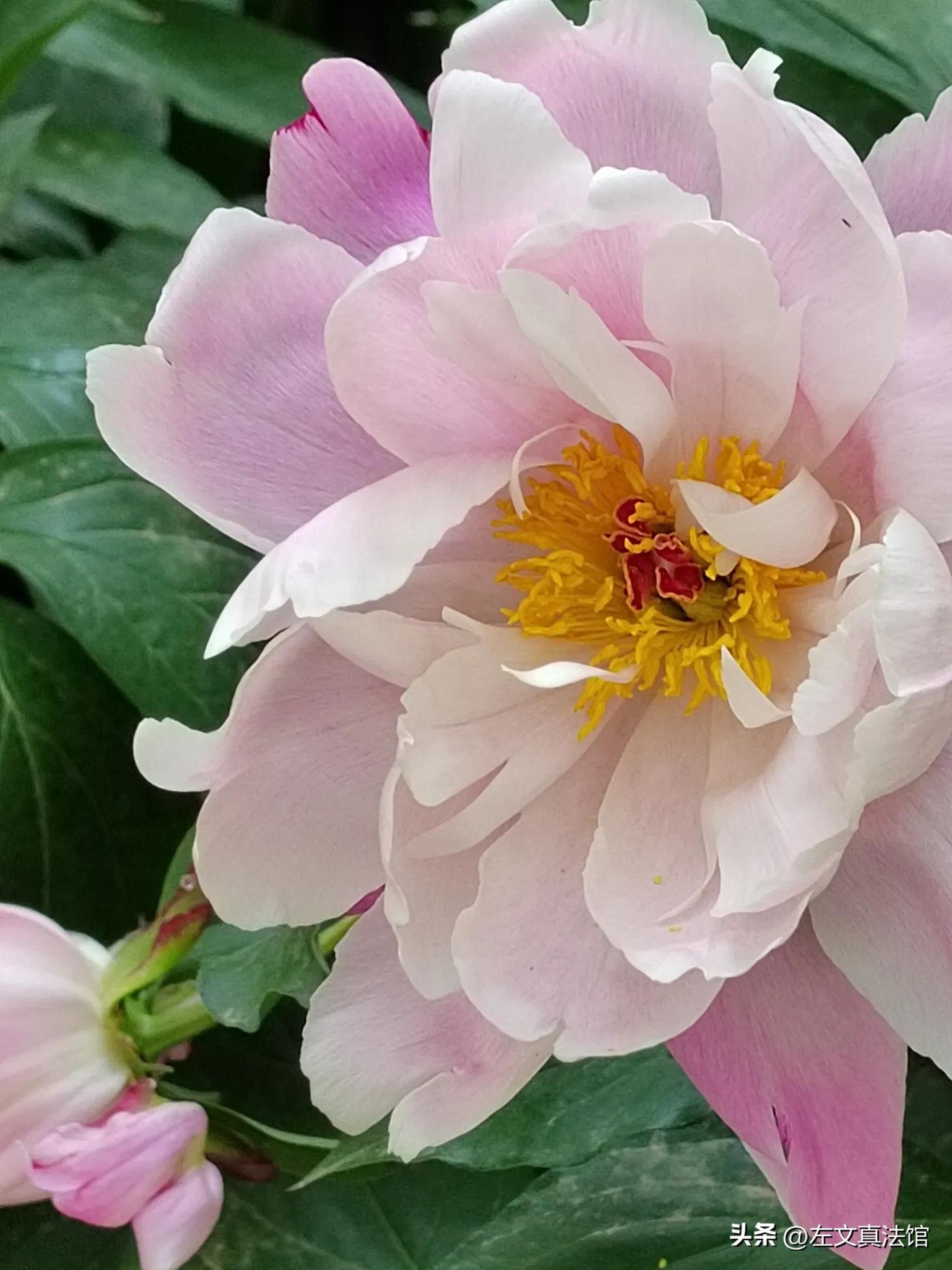 肇事司机对行车记录仪说法矛盾,公安机关未核查咋处理?