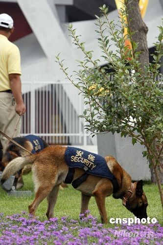 北京奥运会开幕式前夕，鸟巢及天安门安保措施全面升级