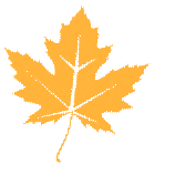 高考报名登录及忘记密码处理方法，含手机号更改指南