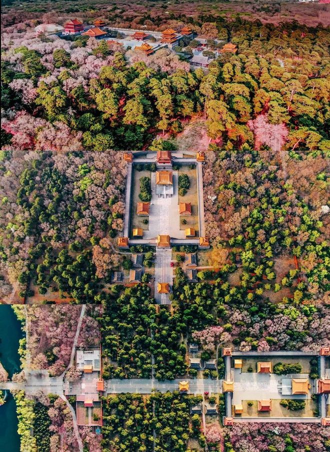 沈阳抗疫下的生活变迁,带你回忆疫情前的美好点滴