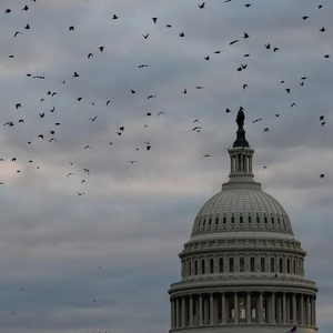 美英鼓捣病毒溯源阴谋论,中国坚决戳穿其抹黑把戏